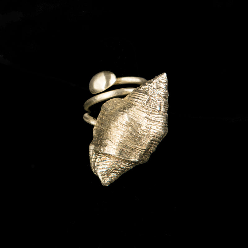 RING SHELL