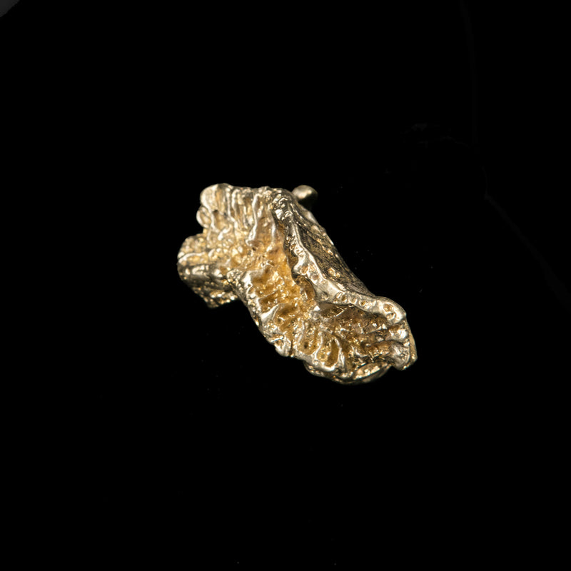 RING TOOTH CORAL