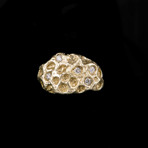 RING CRATER CORAL WITH ZIRCONS
