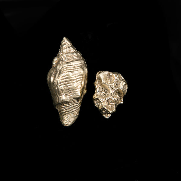 RING SHELL & STONE CORAL