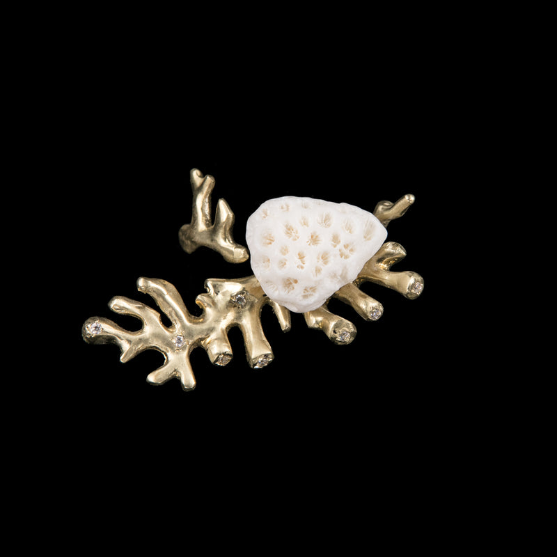 RING BRANCH