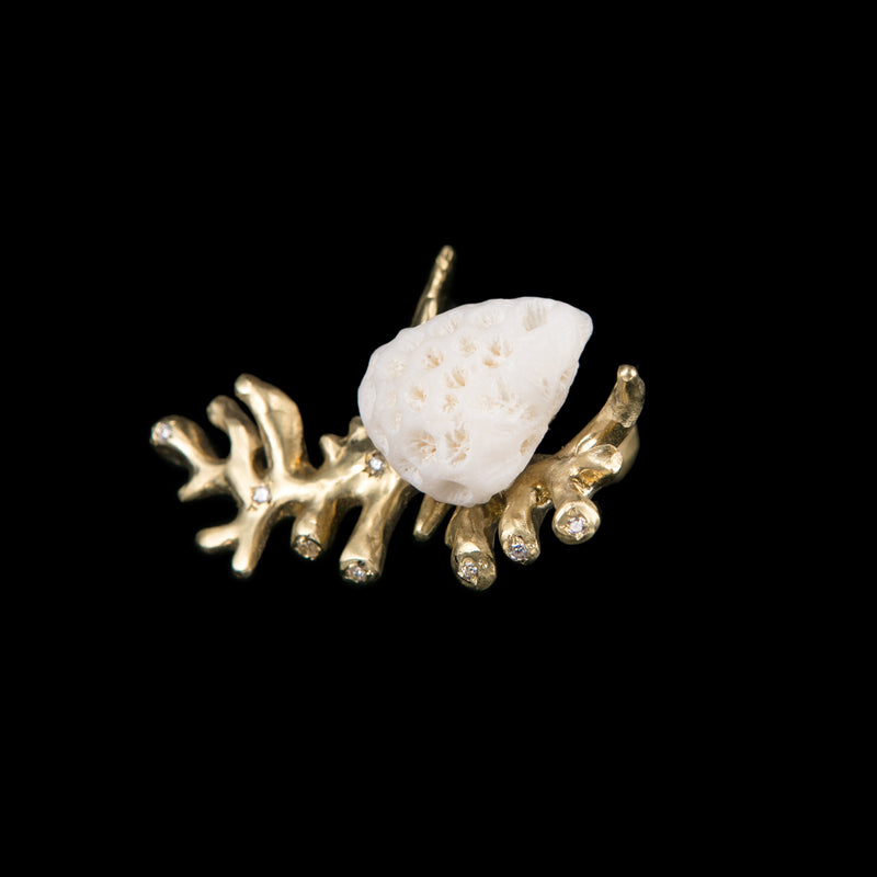 RING BRANCH