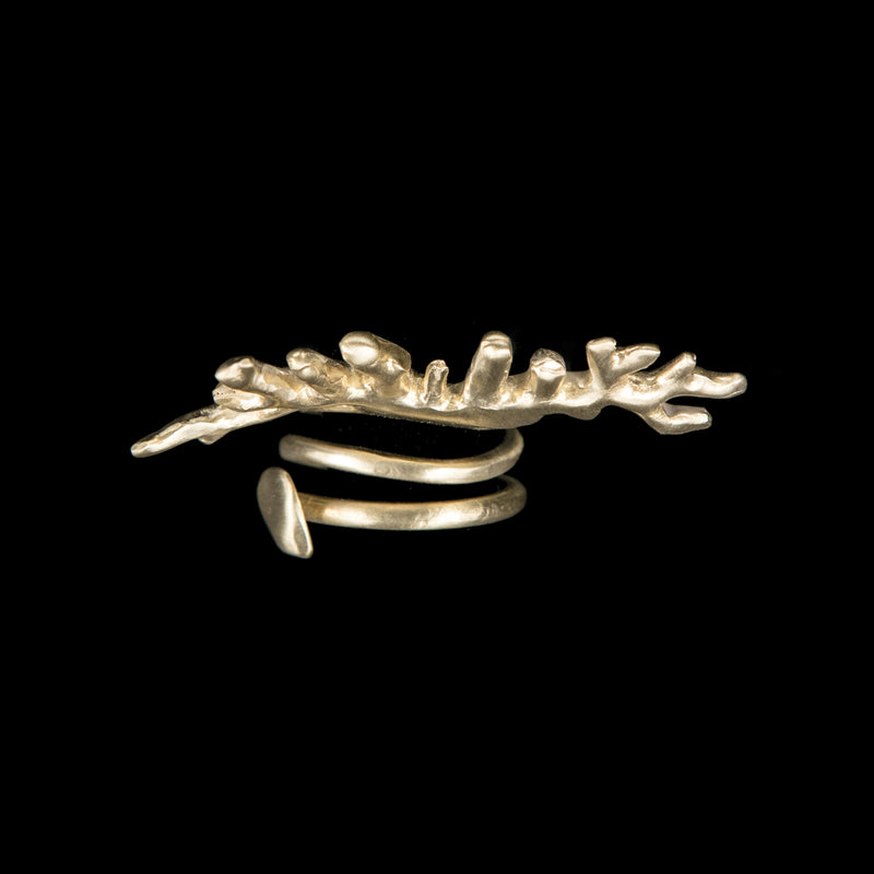 RING CORAL BRANCH